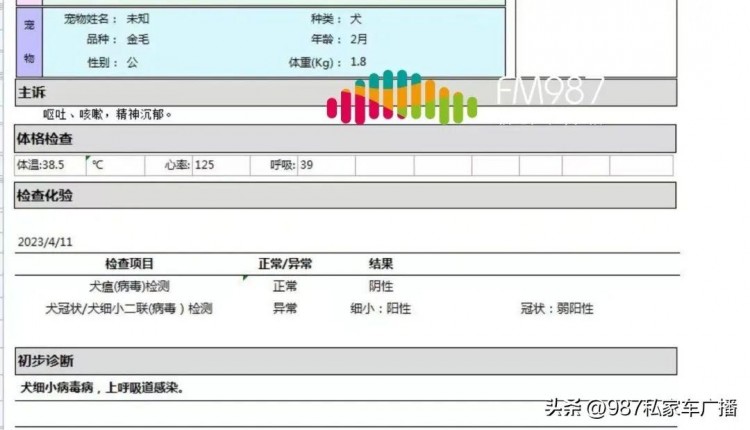 福州一家人心痛万分！养了一周的狗狗就病死